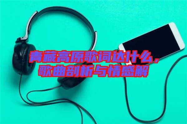 青藏高原歌詞達(dá)什么，歌曲剖析與情感解