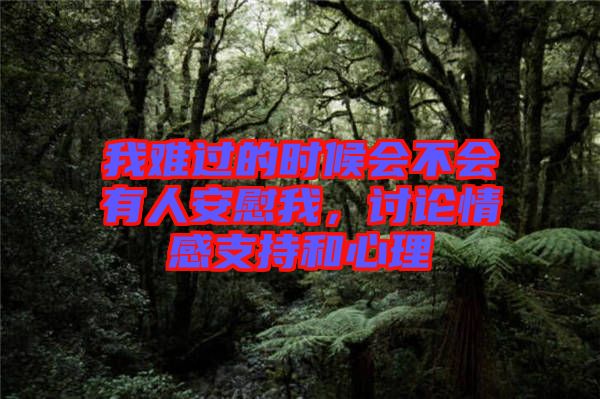 我難過的時(shí)候會不會有人安慰我，討論情感支持和心理