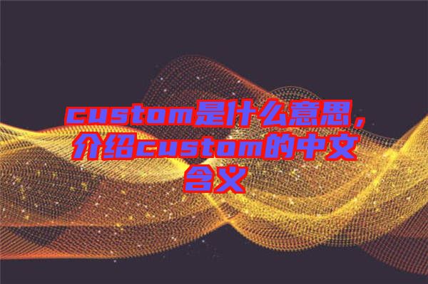 custom是什么意思，介紹custom的中文含義