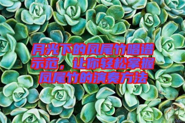月光下的鳳尾竹唱譜示范，讓你輕松掌握鳳尾竹的演奏方法