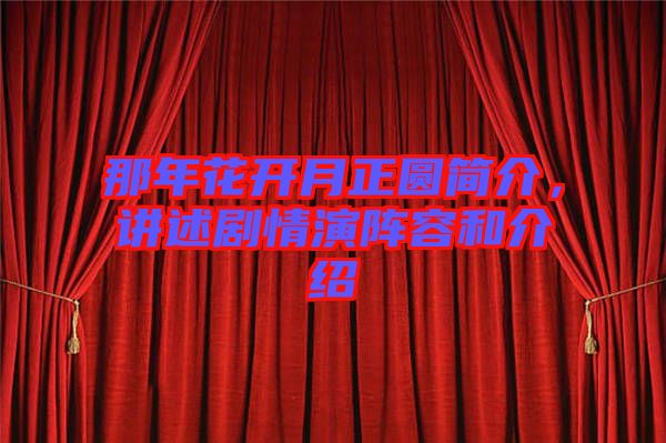 那年花開(kāi)月正圓簡(jiǎn)介，講述劇情演陣容和介紹