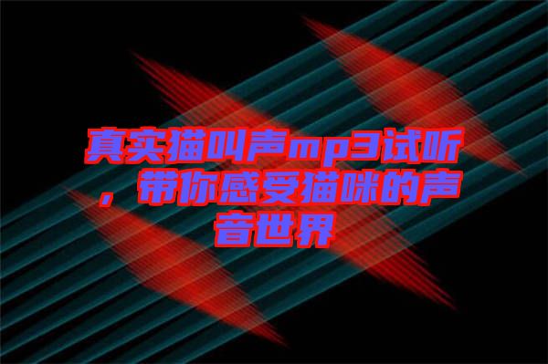 真實(shí)貓叫聲mp3試聽(tīng)，帶你感受貓咪的聲音世界