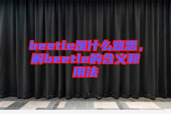 beetle是什么意思，解beetle的含義和用法