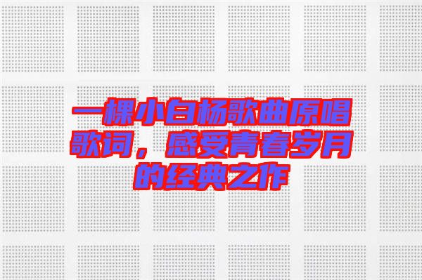 一棵小白楊歌曲原唱歌詞，感受青春歲月的經(jīng)典之作
