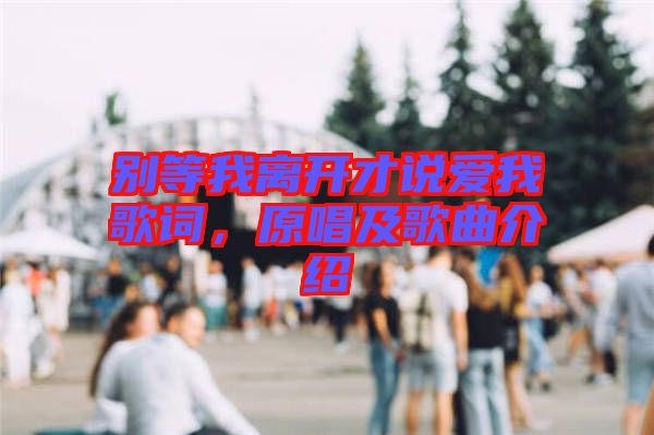 別等我離開才說愛我歌詞，原唱及歌曲介紹