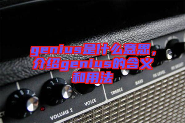 genius是什么意思，介紹genius的含義和用法