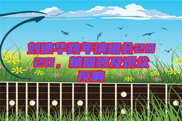 劉德華跨年演唱會2020，精回顧及觀眾反響