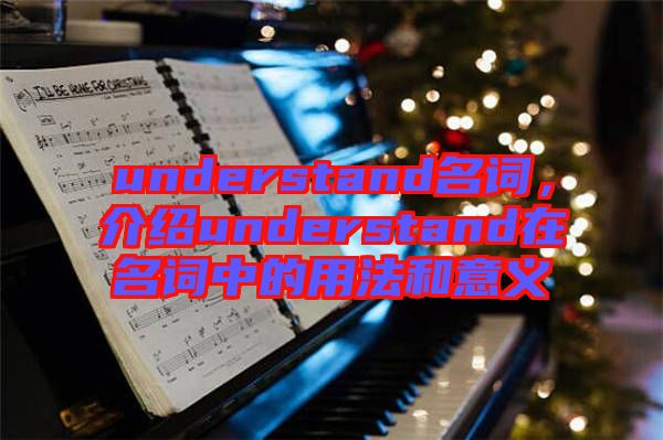 understand名詞，介紹understand在名詞中的用法和意義