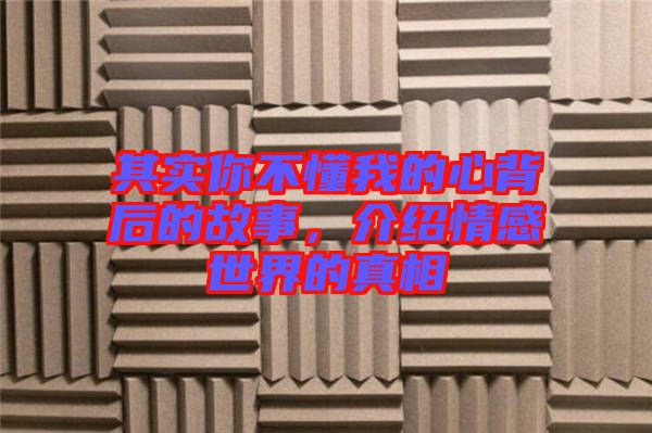 其實(shí)你不懂我的心背后的故事，介紹情感世界的真相
