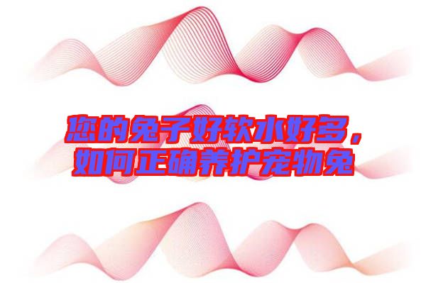 您的兔子好軟水好多，如何正確養(yǎng)護寵物兔
