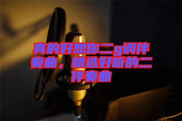 真的好想你二g調(diào)伴奏曲，精選好聽(tīng)的二伴奏曲