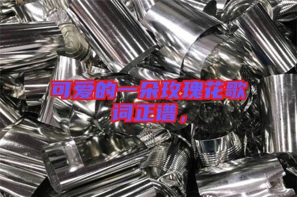可愛(ài)的一朵玫瑰花歌詞正譜，
