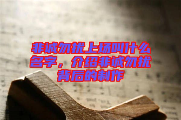 非誠(chéng)勿擾上場(chǎng)叫什么名字，介紹非誠(chéng)勿擾背后的制作