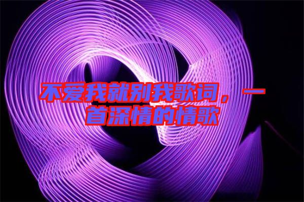 不愛我就別我歌詞，一首深情的情歌