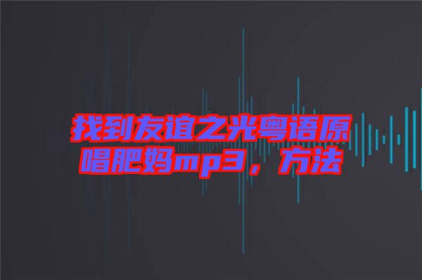 找到友誼之光粵語(yǔ)原唱肥媽mp3，方法