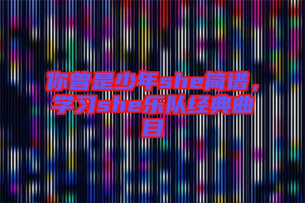 你曾是少年she簡譜，學習she樂隊經典曲目
