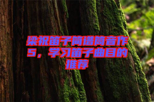 梁祝笛子簡譜筒音作5，學(xué)習(xí)笛子曲目的推薦