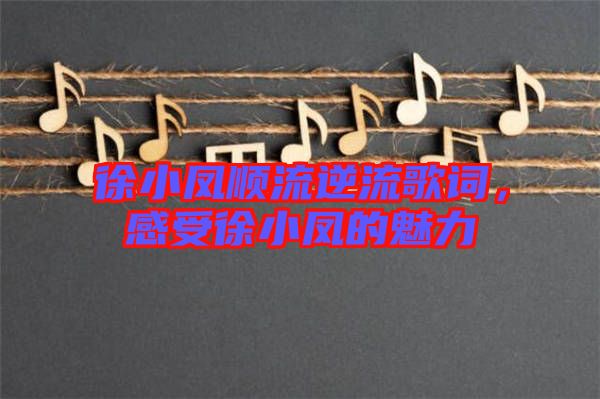 徐小鳳順流逆流歌詞，感受徐小鳳的魅力