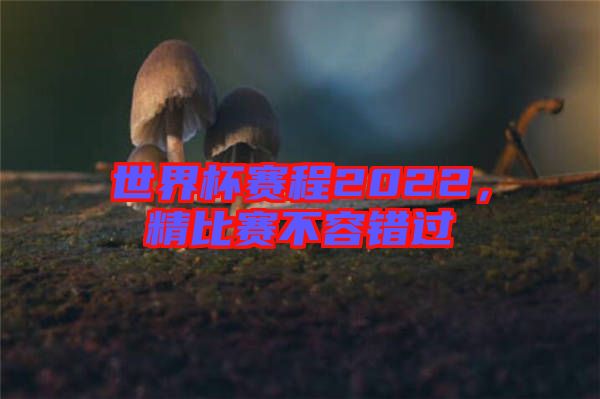 世界杯賽程2022，精比賽不容錯過