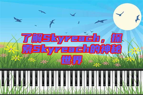 了解Skyreach，探索Skyreach的神秘世界