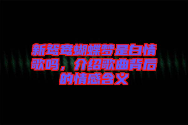 新鴛鴦蝴蝶夢是白情歌嗎，介紹歌曲背后的情感含義