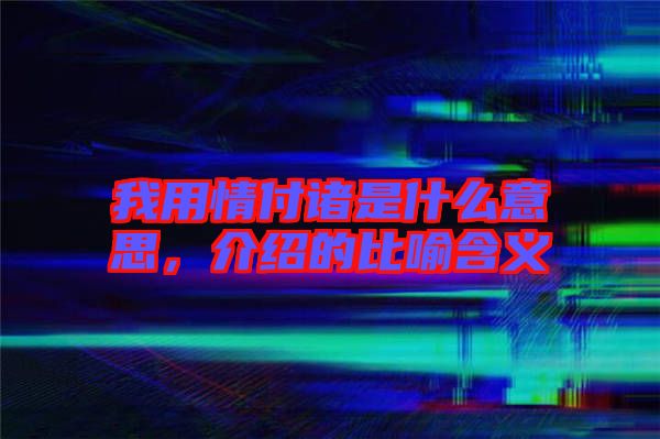 我用情付諸是什么意思，介紹的比喻含義