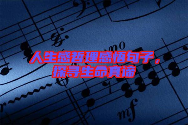 人生感哲理感悟句子，探尋生命真諦