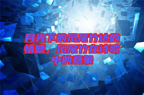月光下的鳳尾竹達(dá)的情感，鳳尾竹在詩(shī)歌中的意象