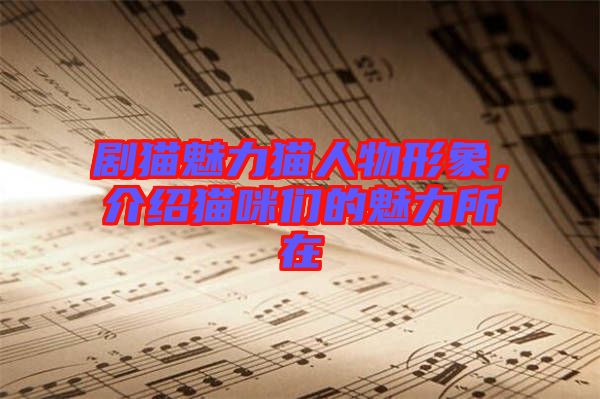 劇貓魅力貓人物形象，介紹貓咪們的魅力所在