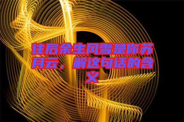 往后余生風雪是你蘇月云，解這句話的含義