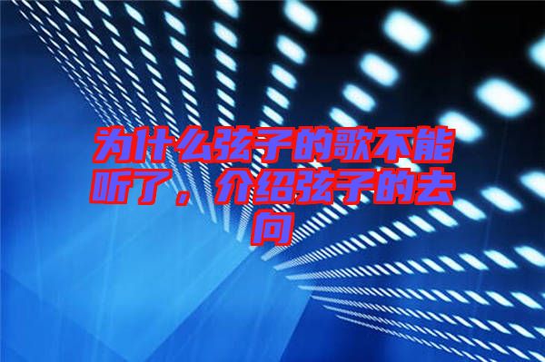 為什么弦子的歌不能聽了，介紹弦子的去向