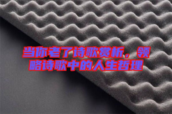 當(dāng)你老了詩歌賞析，領(lǐng)略詩歌中的人生哲理