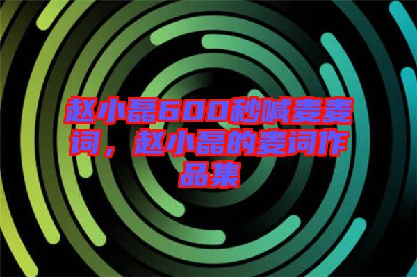 趙小磊600秒喊麥麥詞，趙小磊的麥詞作品集