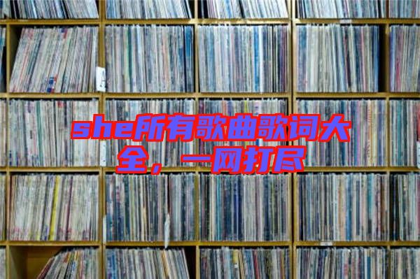 she所有歌曲歌詞大全，一網(wǎng)打盡