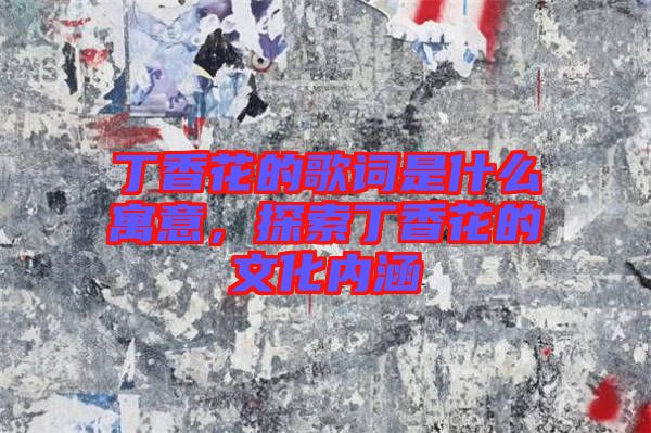 丁香花的歌詞是什么寓意，探索丁香花的文化內(nèi)涵