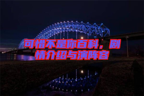 可惜不是你百科，劇情介紹與演陣容