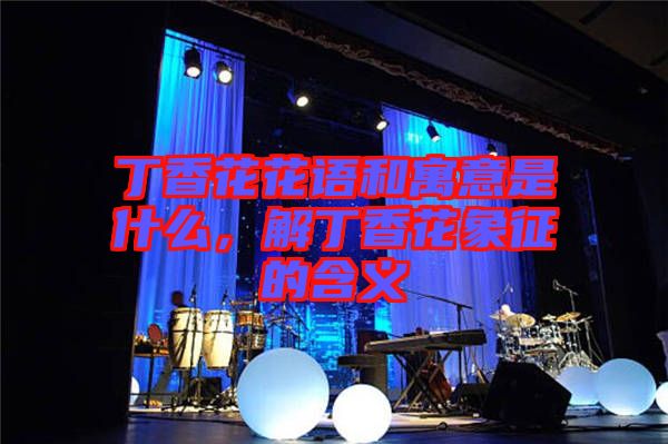丁香花花語(yǔ)和寓意是什么，解丁香花象征的含義