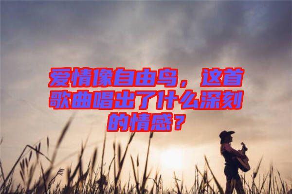 愛情像自由鳥，這首歌曲唱出了什么深刻的情感？