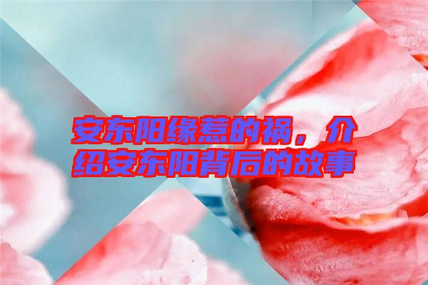 安東陽緣惹的禍，介紹安東陽背后的故事