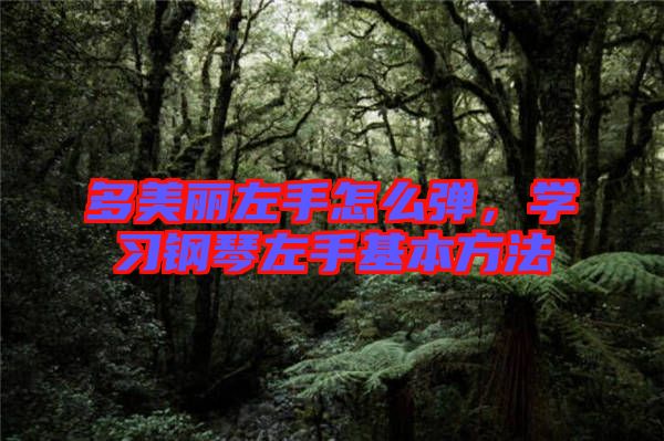多美麗左手怎么彈，學(xué)習(xí)鋼琴左手基本方法