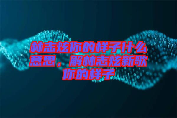 林志炫你的樣子什么意思，解林志炫新歌你的樣子
