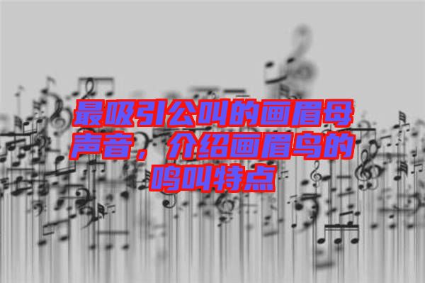 最吸引公叫的畫(huà)眉母聲音，介紹畫(huà)眉鳥(niǎo)的鳴叫特點(diǎn)