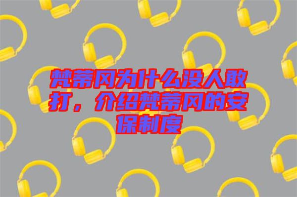 梵蒂岡為什么沒人敢打，介紹梵蒂岡的安保制度