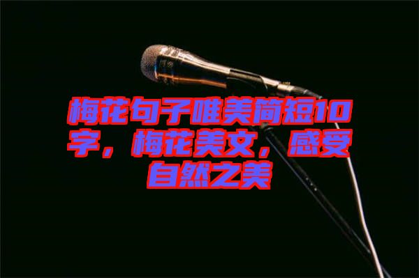 梅花句子唯美簡短10字，梅花美文，感受自然之美
