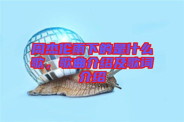周杰倫雨下的是什么歌，歌曲介紹及歌詞介紹
