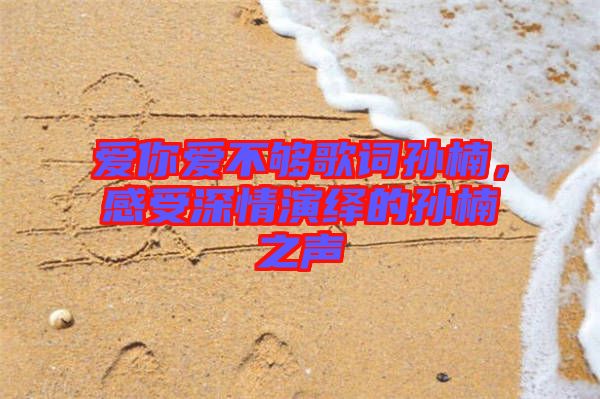 愛(ài)你愛(ài)不夠歌詞孫楠，感受深情演繹的孫楠之聲