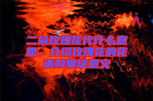 二朵玫瑰花代什么意思，介紹玫瑰花的花語(yǔ)和象征意義