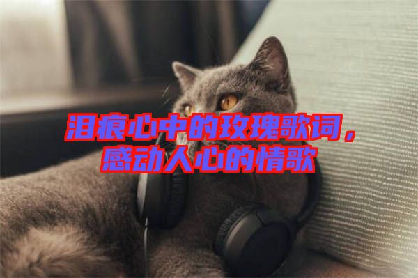 淚痕心中的玫瑰歌詞，感動人心的情歌