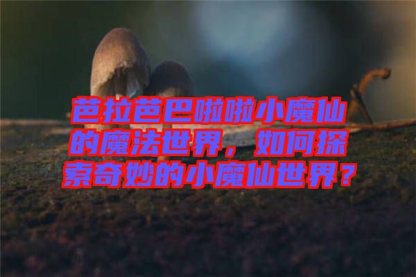 芭拉芭巴啦啦小魔仙的魔法世界，如何探索奇妙的小魔仙世界？