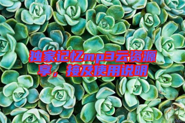 獨家記憶mp3云資源享，接及使用說明